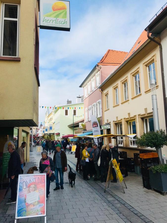 Boutique-Ferienwohnung Im Alten Weinhaus Moser Грюнштадт Экстерьер фото